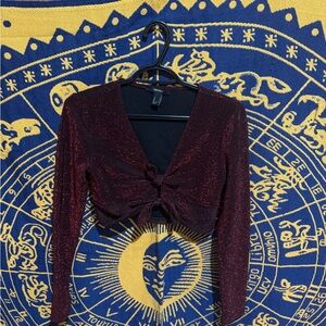 Forever 21 Burgundy Glitter Crop Top